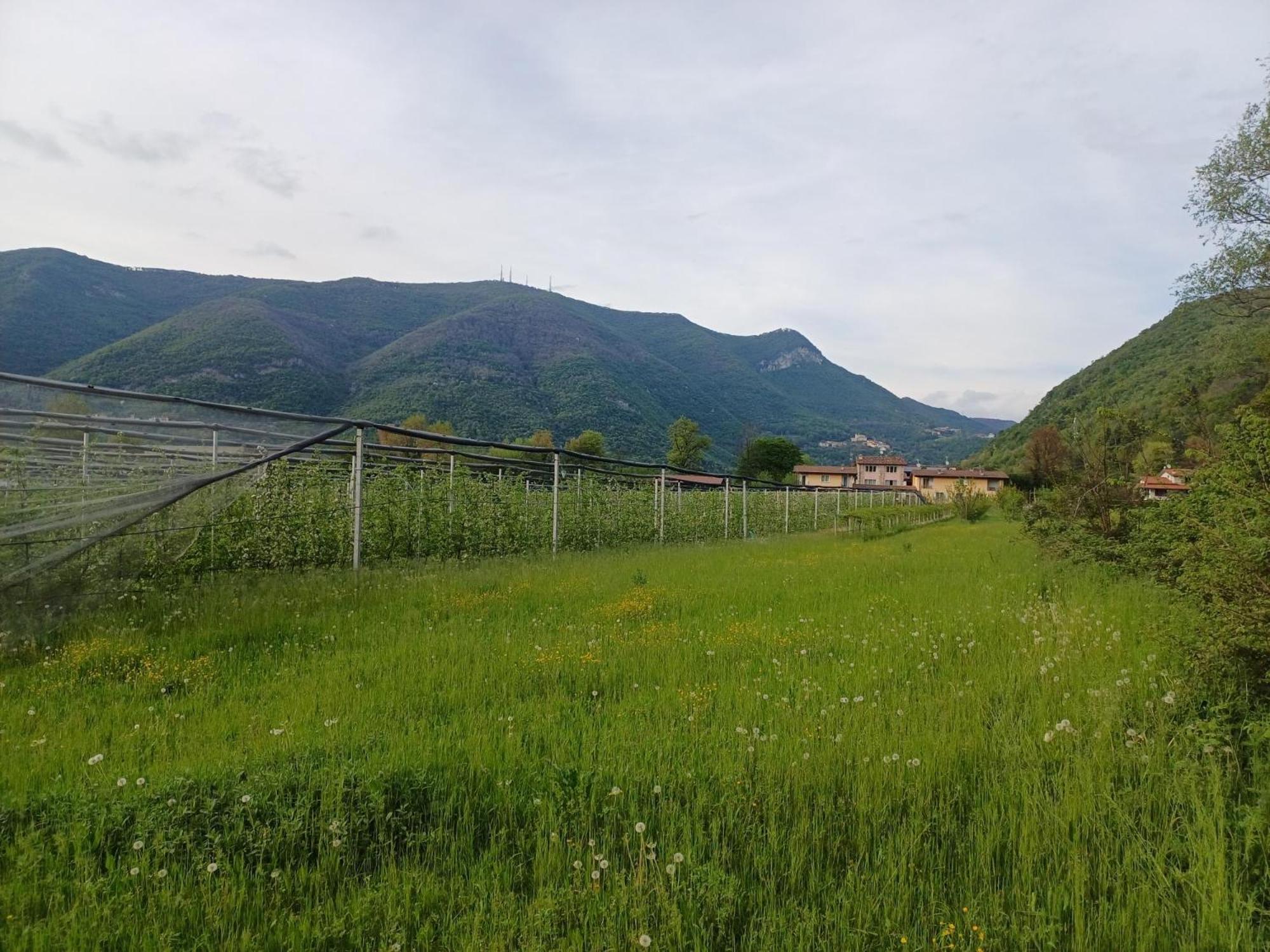 Appartement Cascina Legnago Bilocale A 6 Chilometri Da Salo' à Villanuova sul clisi Extérieur photo